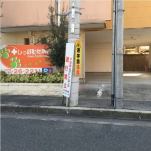WS000357